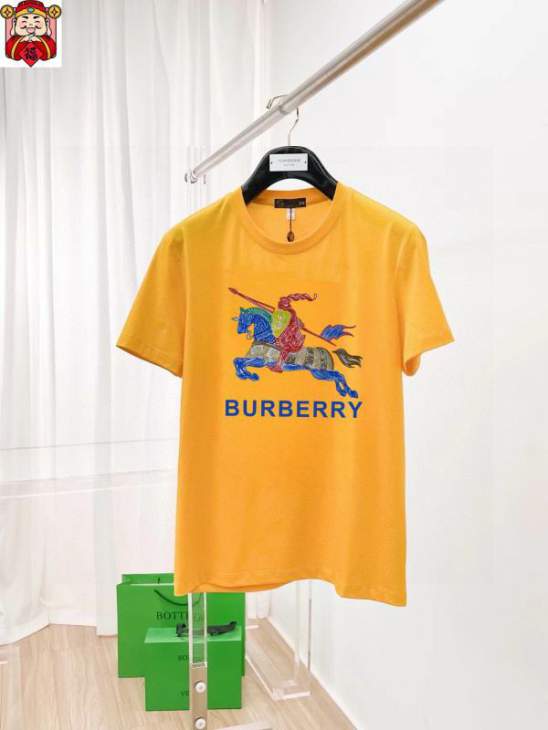Picture of Burberry T Shirts Short _SKUBurberryM-5XLkdtr2320050